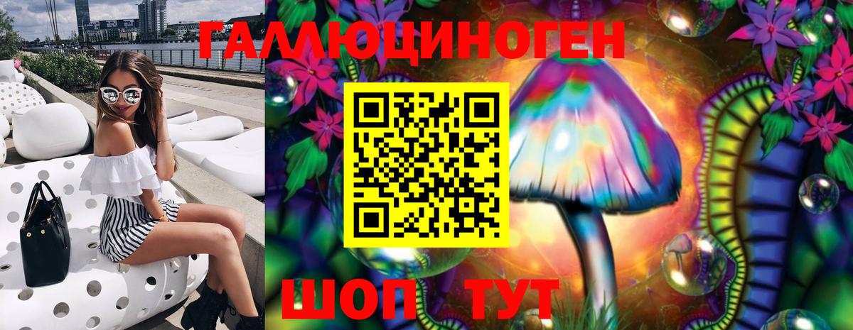 Галлюциногенные грибы Psilocybe  Вход с VPN  Красноярск  где купить   Псилоцибиновые грибы GOLDEN TEACHER 